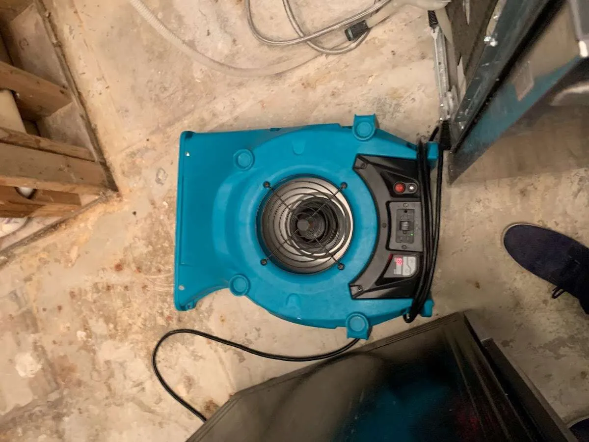 Air mover drying equipment for Mold Remediation & Removal in Logan